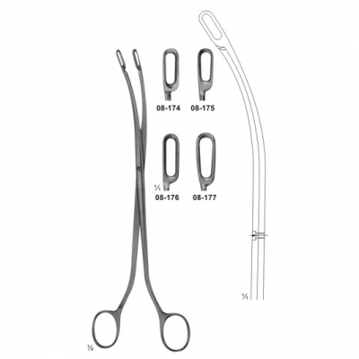 Gall Bladder Liver And Spleen Instruments – Panther Instruments